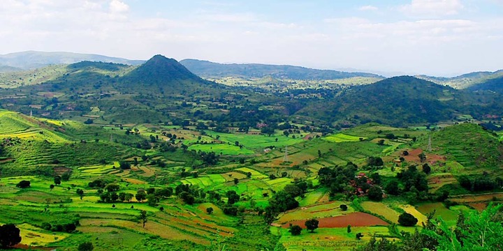 Araku Valley - 1 Day Tour